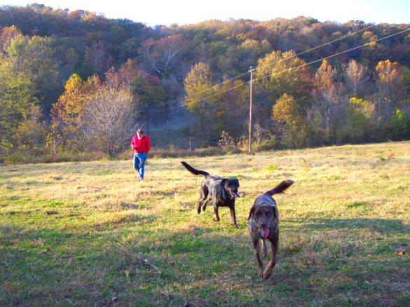 Relic Hunting Dogs 