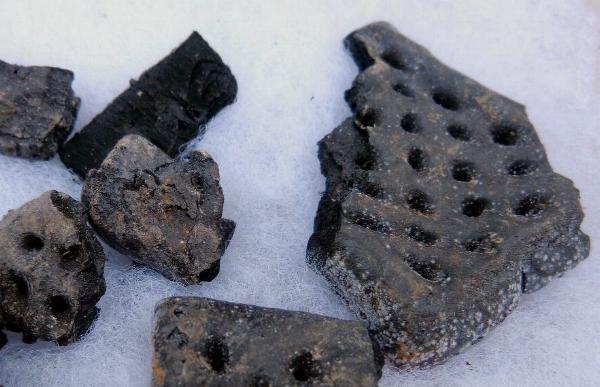 Hardtack Dug in a Confederate Camp in Georgia