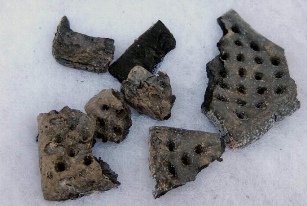 Hardtack Dug in a Confederate Camp in Georgia