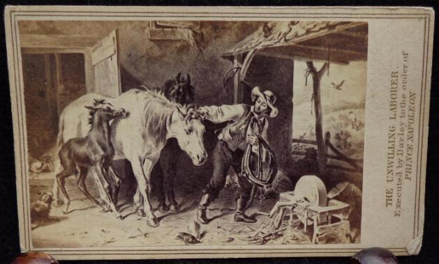 Nice Civil War Period Cdv Image of the Unwilling Laborer - A Horse about to go to the Field - By Anthony 