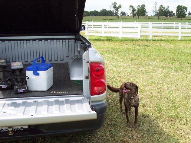 "WHERE is the WATER !?" We DID bring water right ?" Get me some Dang Water Before I Show You How That Squirrel Out Front DIED ! "