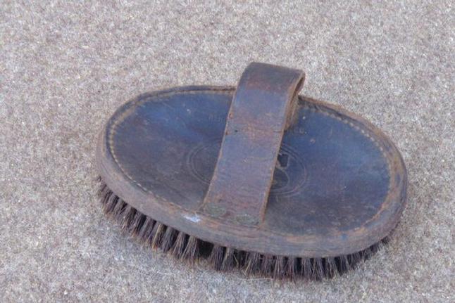 Very Nice Original M1902 US Cavalry Grooming Brush 