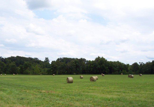 "YOU THINK we're running across that field, while you Dig Fired Bullets, Really !?!  Come on Man, GET REAL  !"