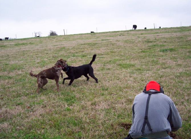 Jack Ferguson, with Bonnie & Clyde, April 19th, 2009.